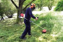 Cobra BC350K brushcutter - all images: HW